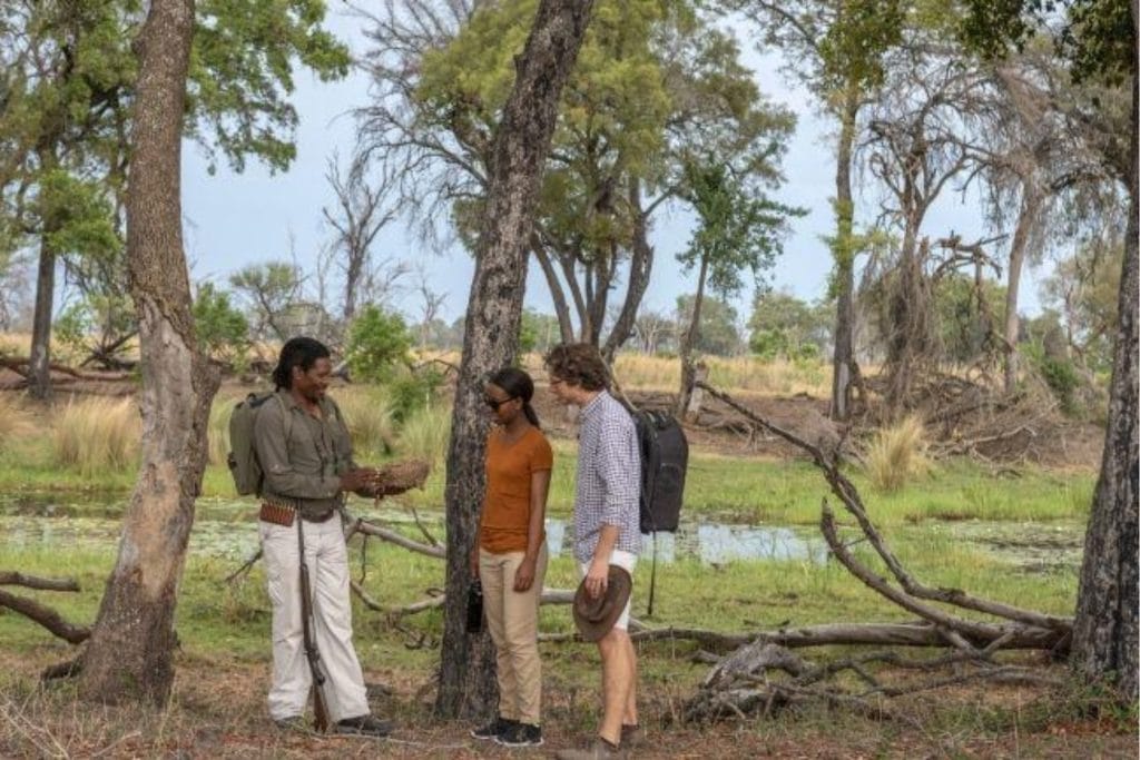 Duba Explorers, Botswana