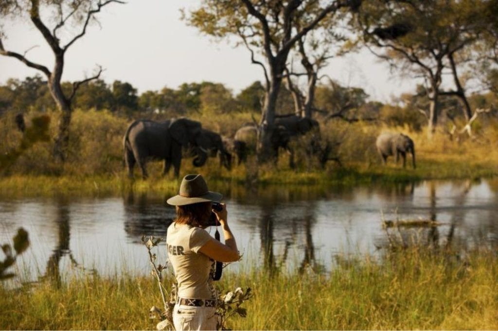 Selinda Explorers Camp, Botswana
