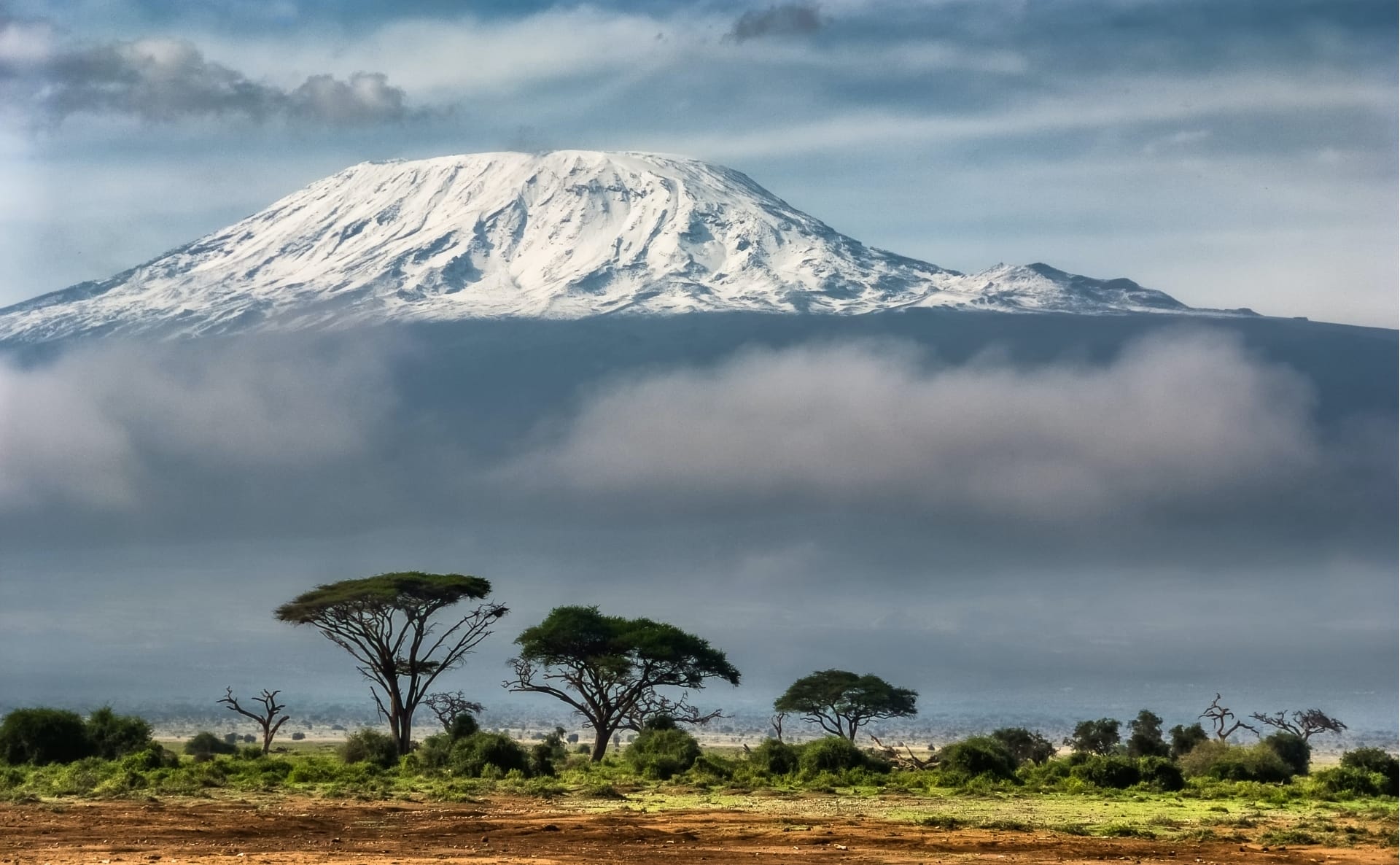 Mt Kilimanjaro