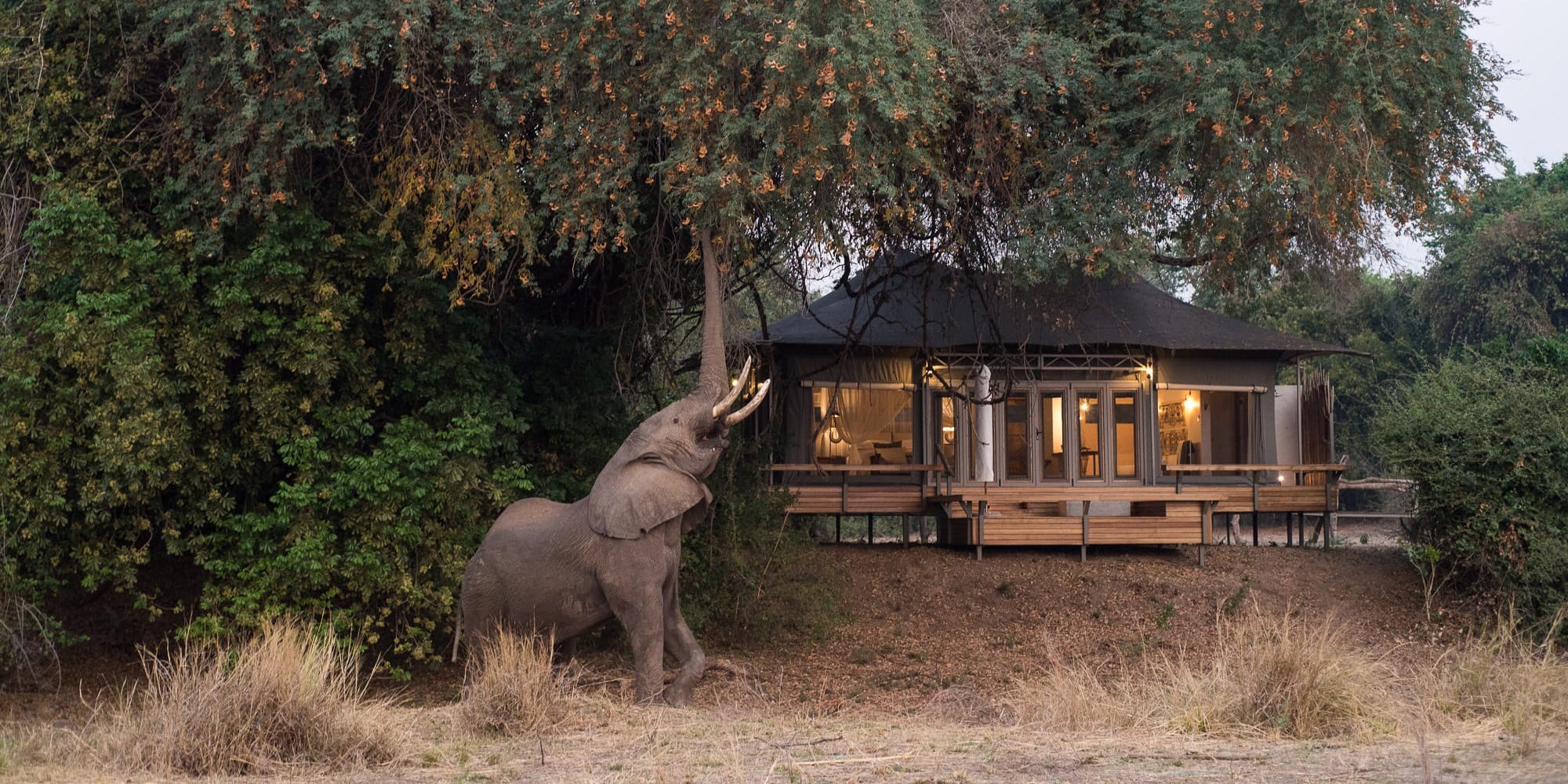 chikwenya safari lodge