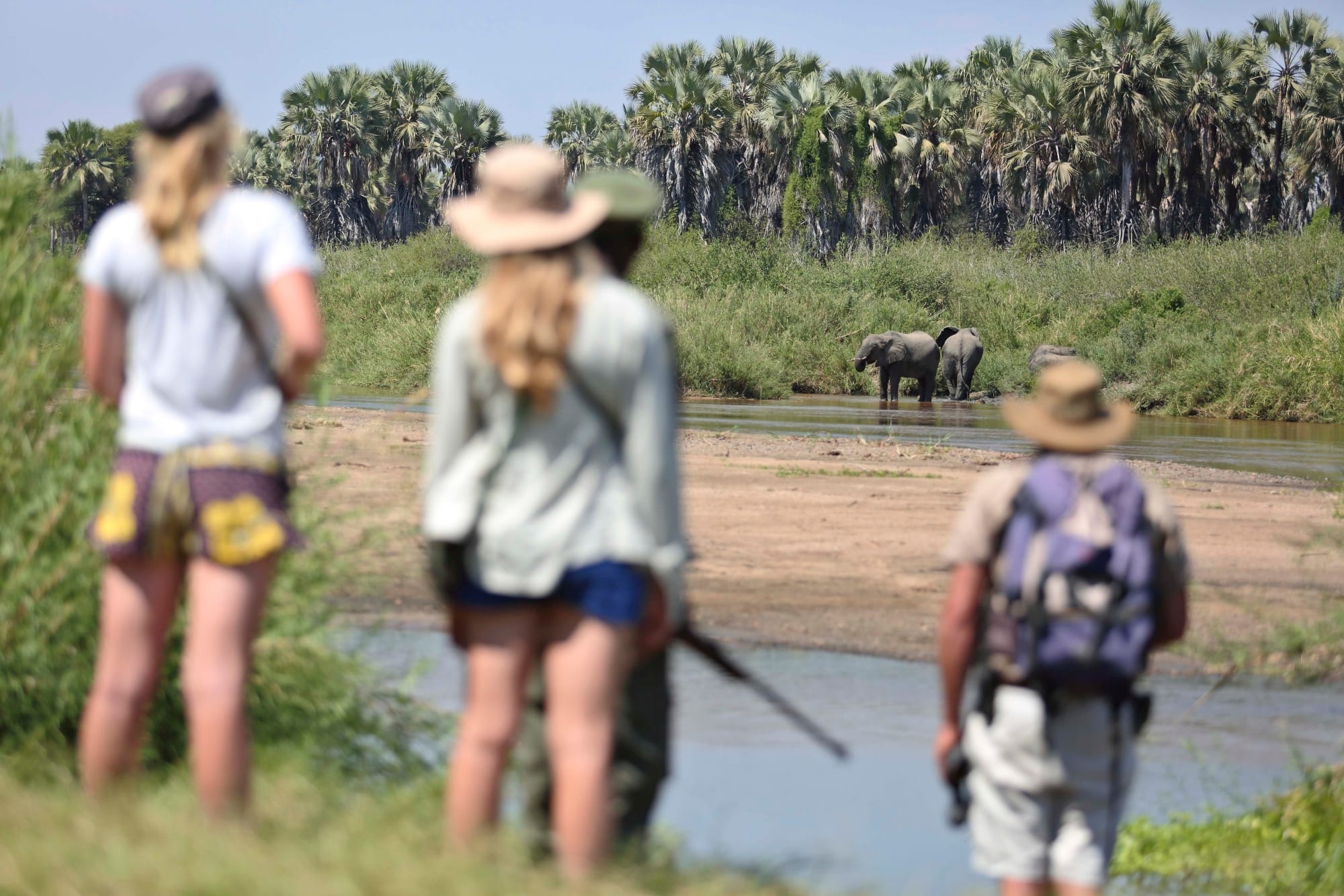 Kichaka Expeditions, Ruaha National Park