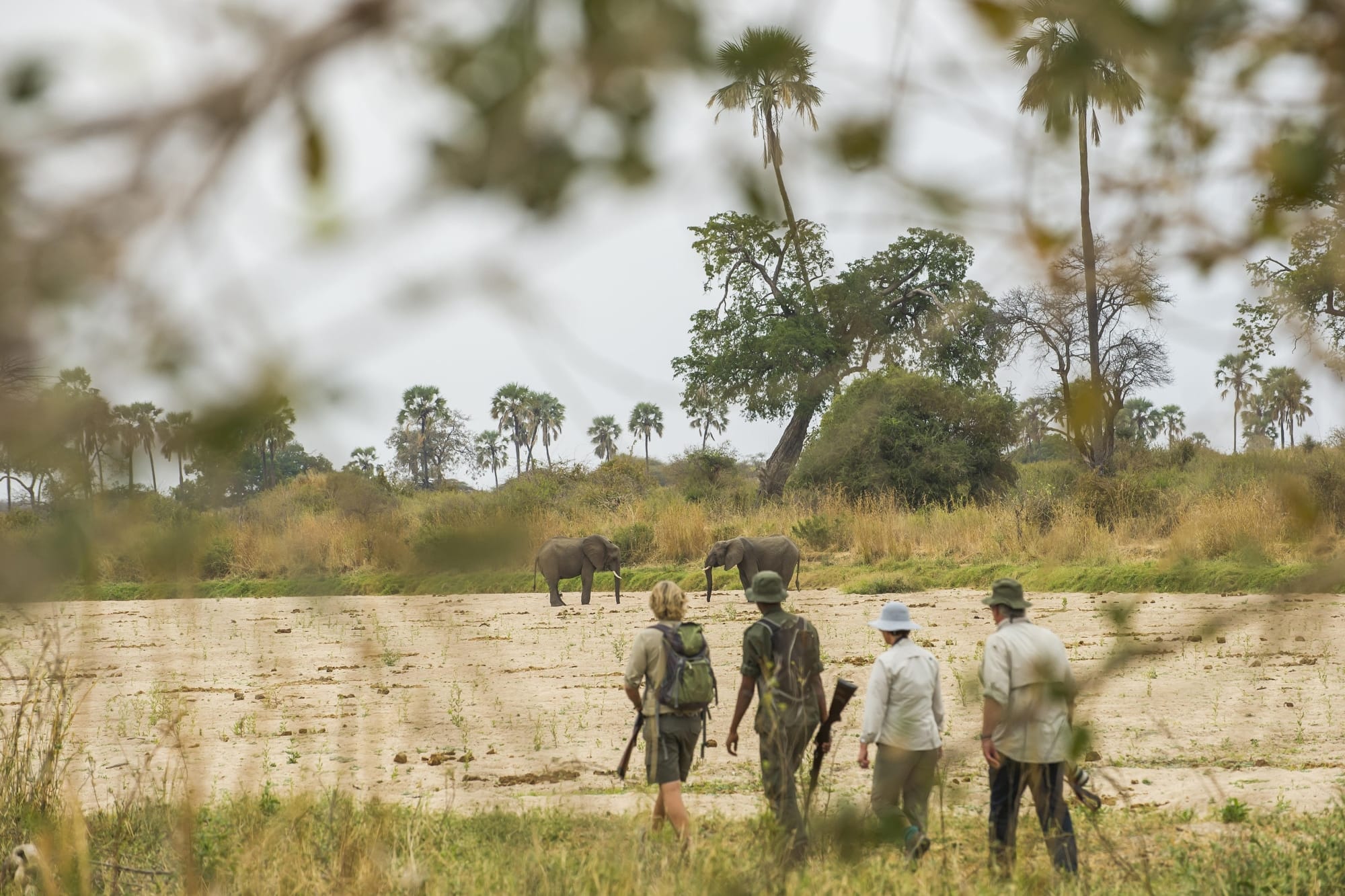 Kwihala Camp, Ruaha