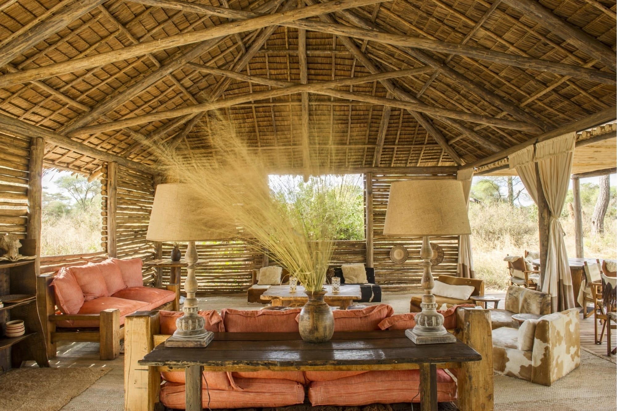 Kuro Tarangire, Tanzania