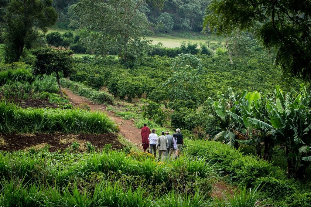 Gibbs Farm, Ngorongoro Crater