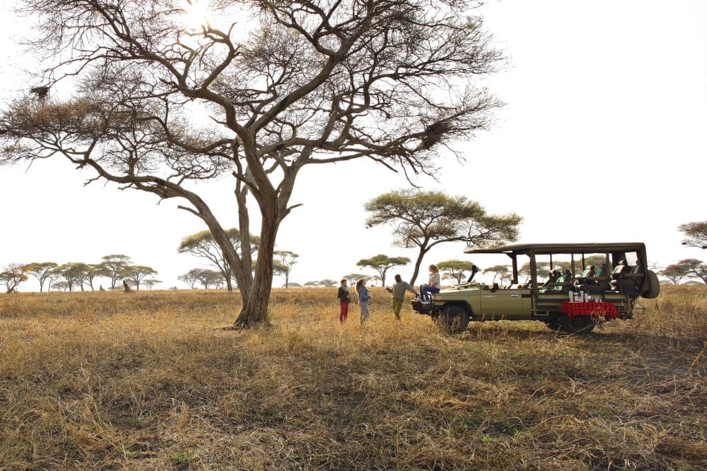 Oliver's Camp, Tarangire