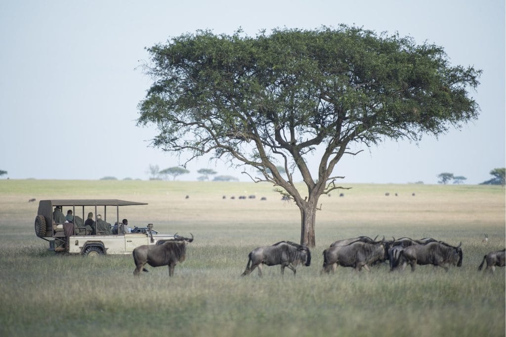 Faru Faru Lodge, Serengeti