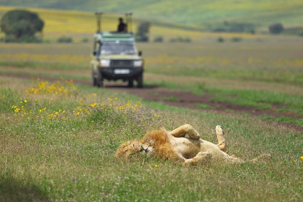 Highlands Camp, Ngorongoro, Tanzania