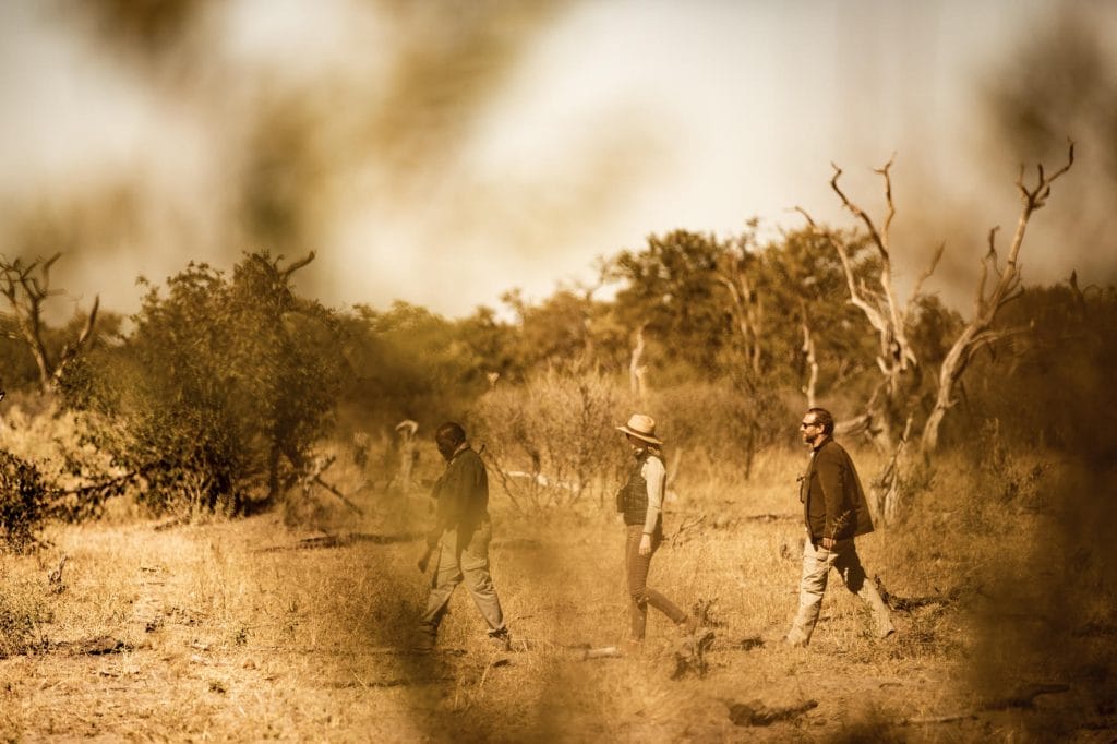 King's Pool Camp, Botswana
