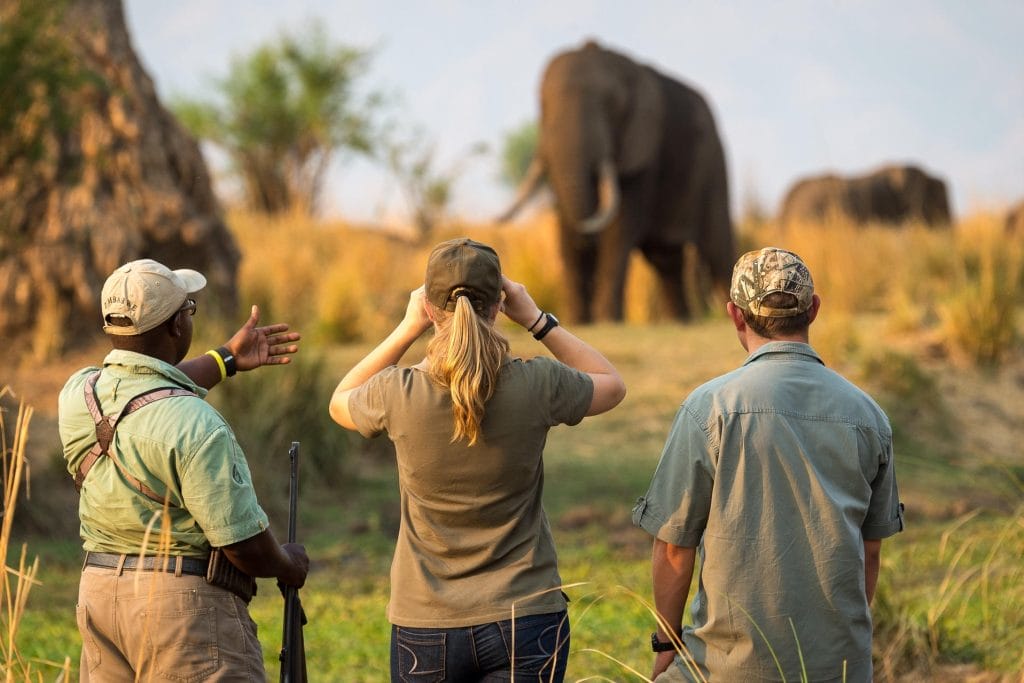 Ruckomechi Camp, Zimbabawe