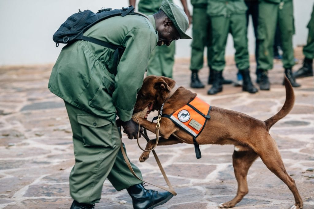 Faru Faru Lodge, Serengeti