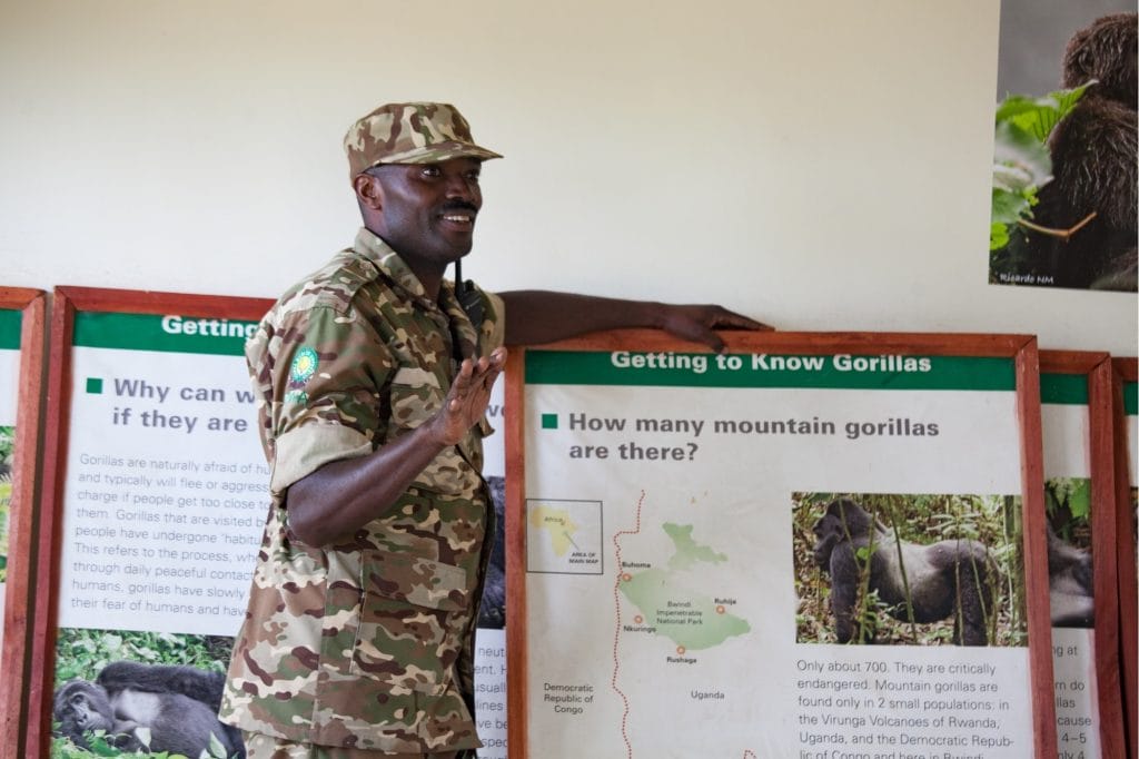 Clouds Mountain Gorilla Lodge, Uganda