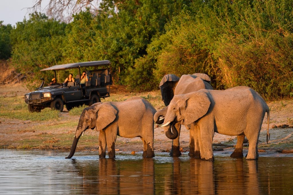 King's Pool Camp, Botswana