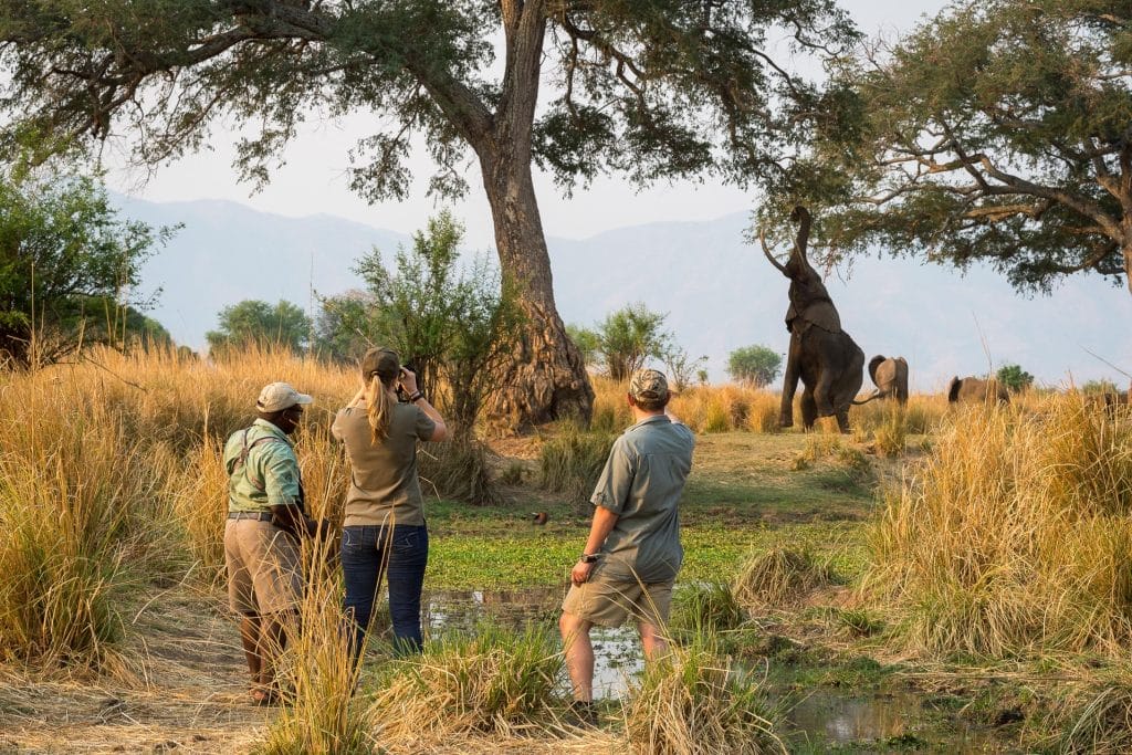 Ruckomechi Camp, Zimbabawe