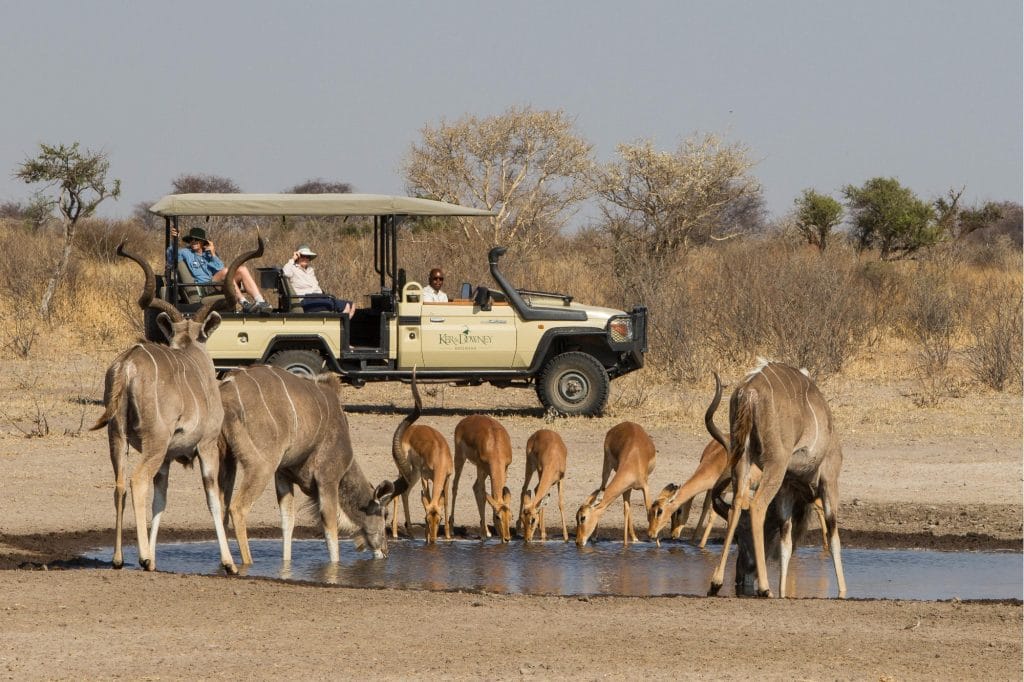 Dinaka Lodge, Botswana