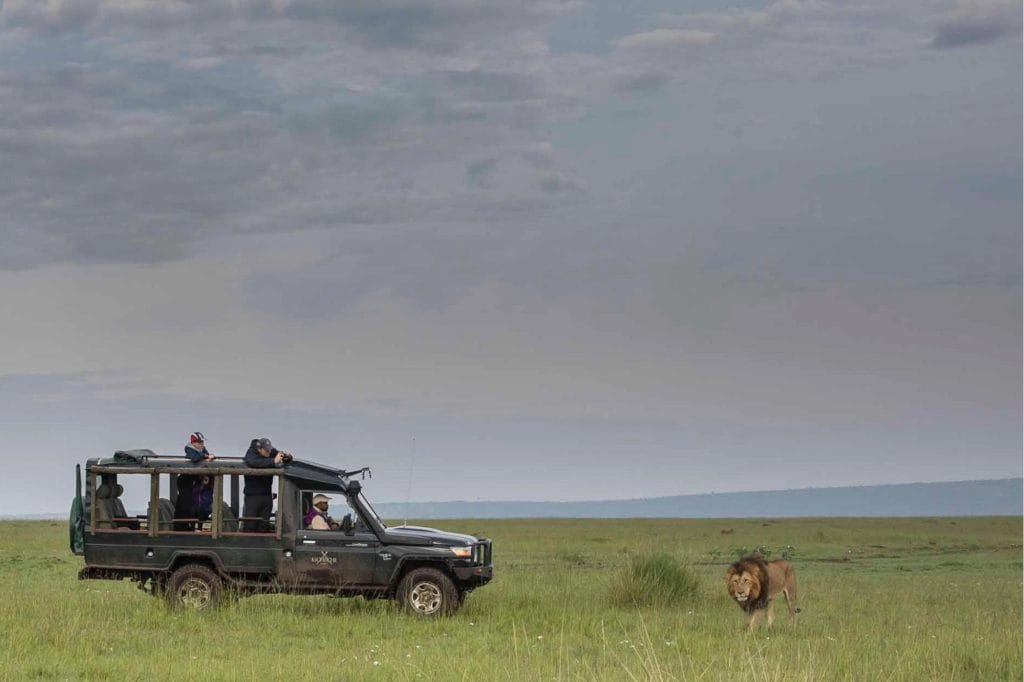 Kicheche Mara Camp, Kenya