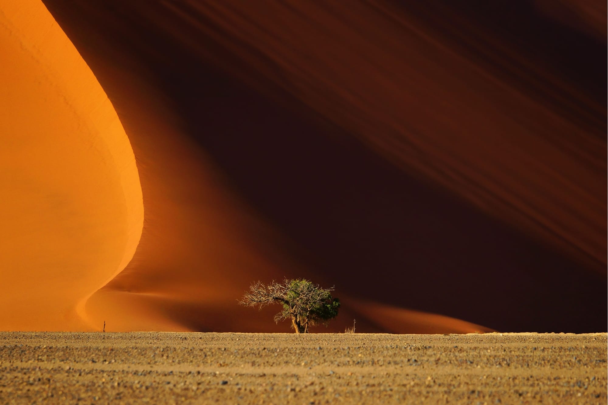 NamibRand Nature Reserve, Namibia