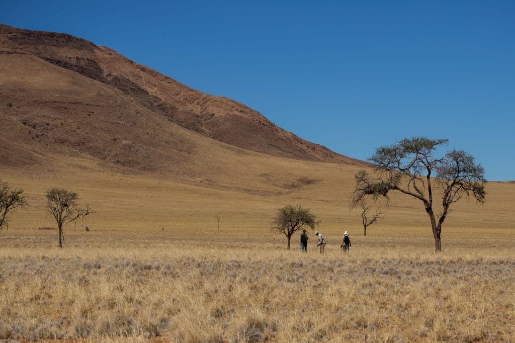 Tok Tokkie Trails, Namibia