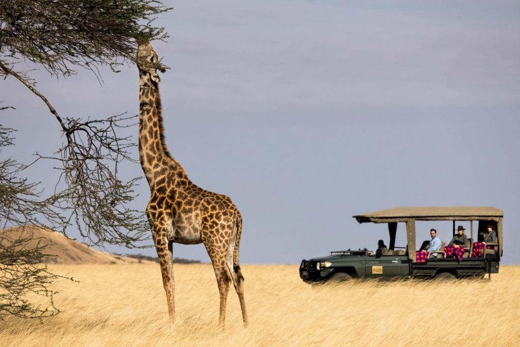 Ol Donyo Lodge, Kenya