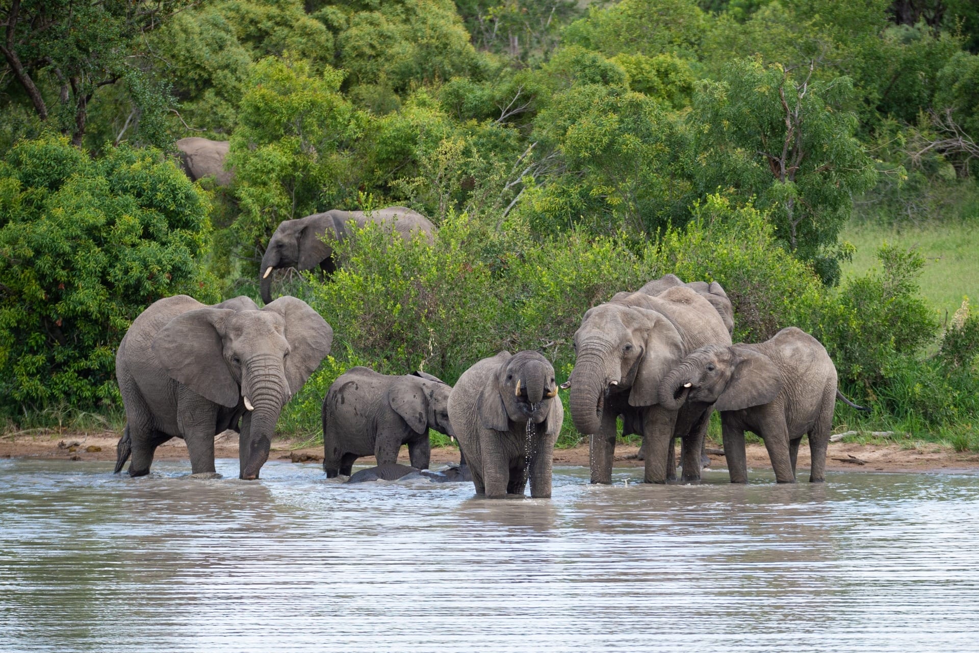 Kazinga Channel, Uganda